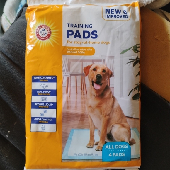 Arm & Hammer Training Pads for Dogs - Orange - Picture 1 of 2